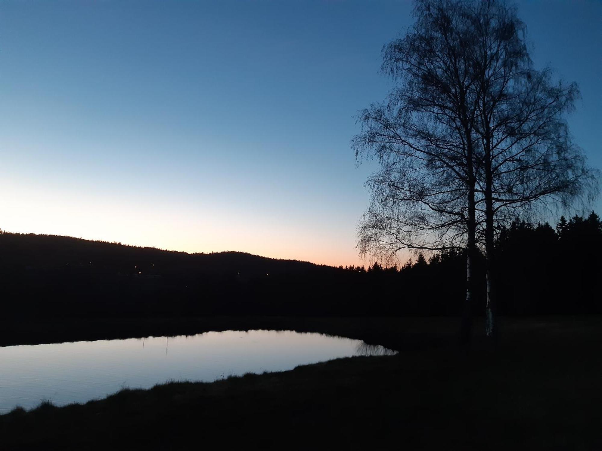 Zum Bergbauern Hotel Вайдхаус Екстериор снимка